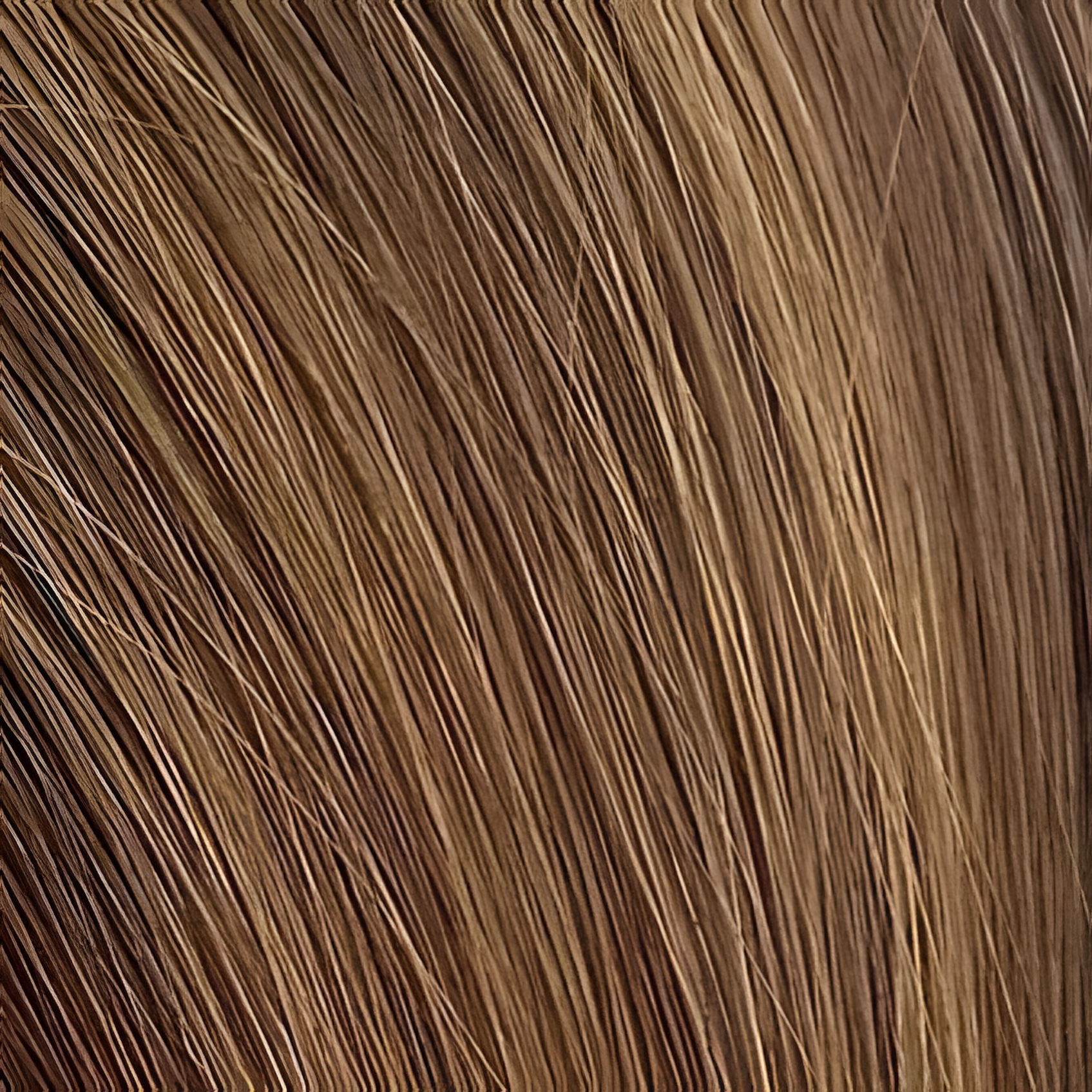 Untamed Extension Co