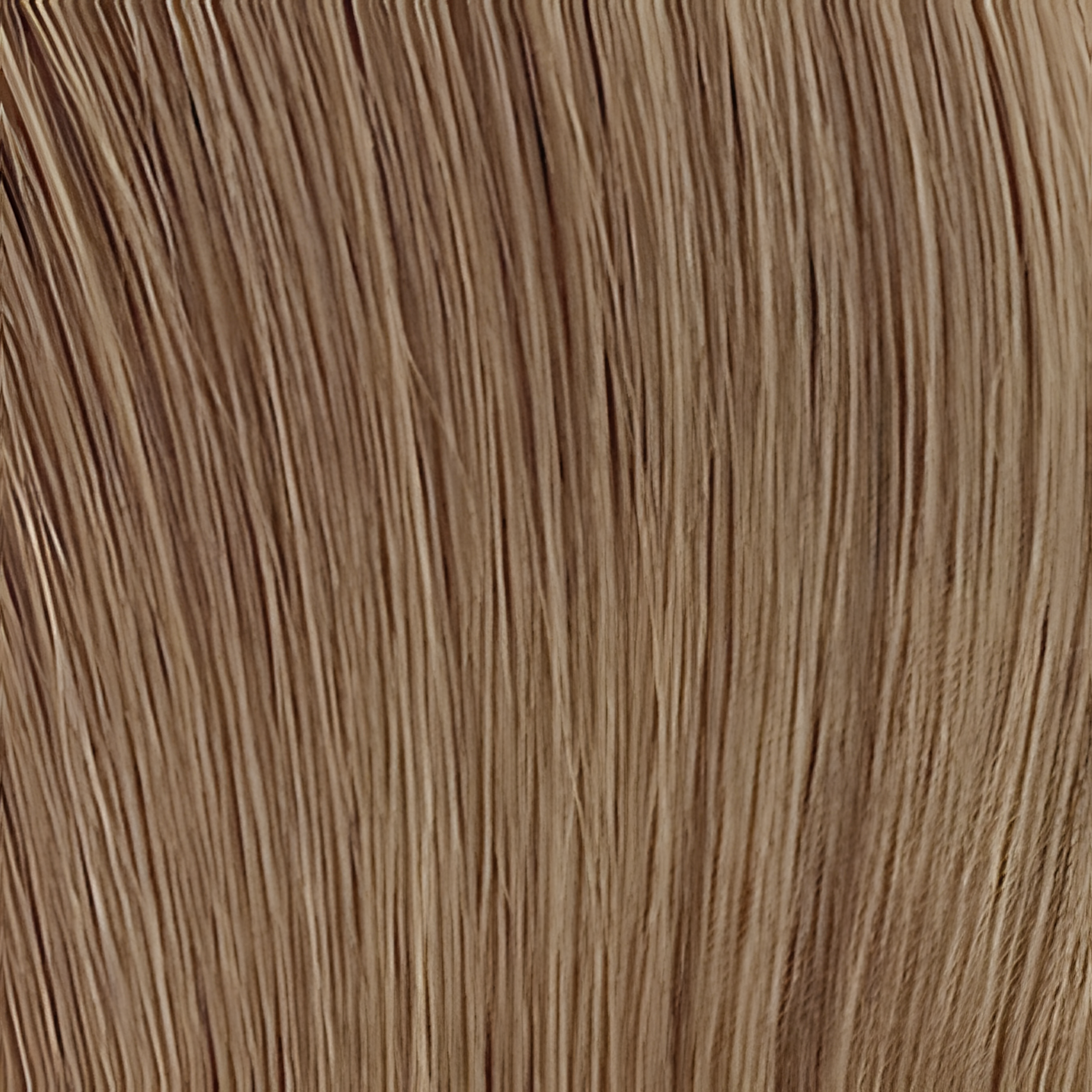 Untamed Extension Co