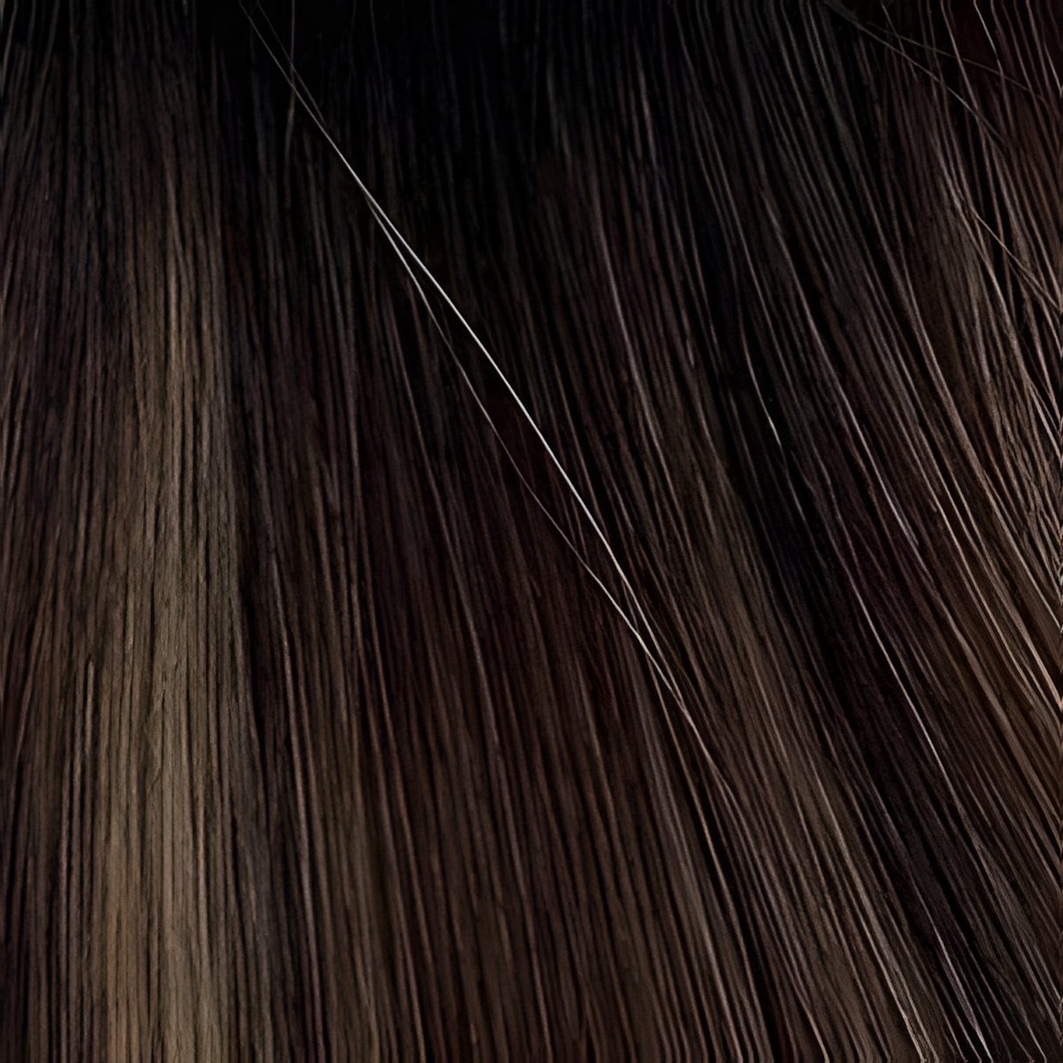 Untamed Extension Co