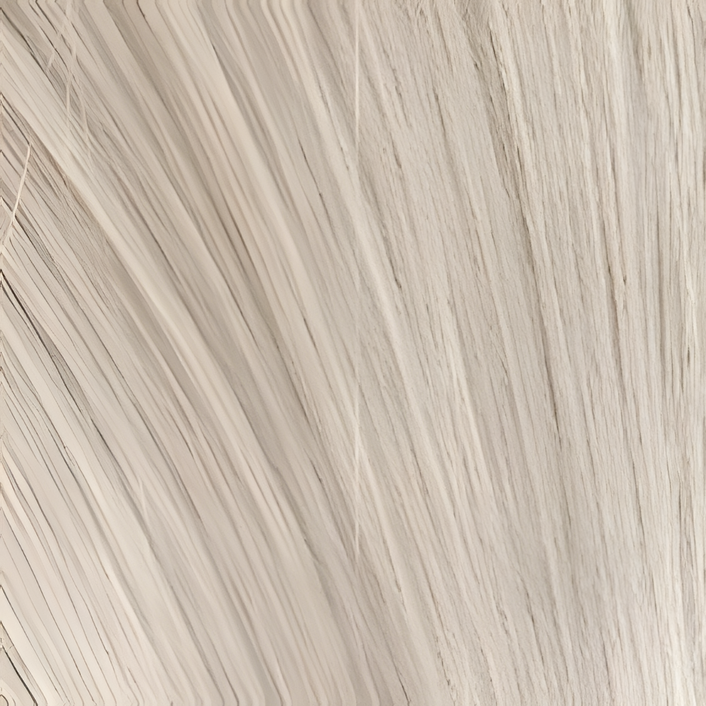 Untamed Extension Co